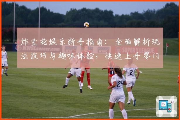 炸金花娱乐新手指南:全面解析玩法技巧与趣味体验,快速上手零门槛!