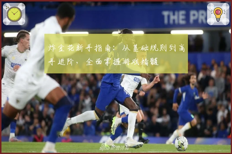 炸金花新手指南：从基础规则到高手进阶，全面掌握游戏精髓