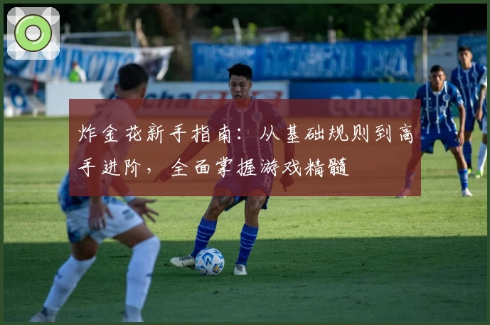 炸金花新手指南：从基础规则到高手进阶，全面掌握游戏精髓