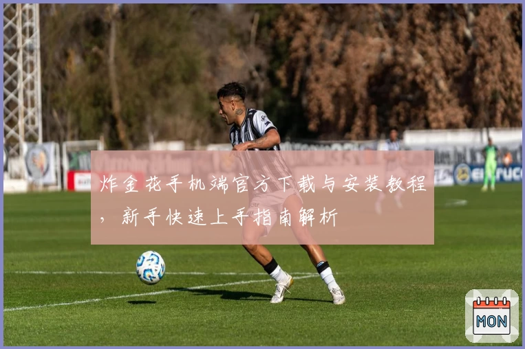 炸金花手机端官方下载与安装教程，新手快速上手指南解析
